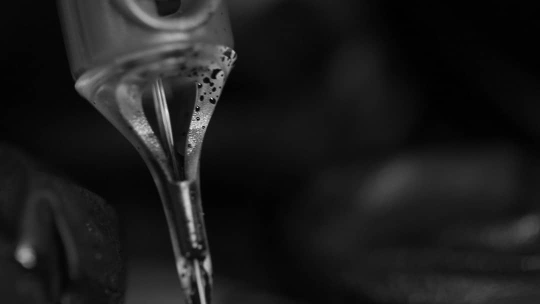 Raptor Cartridge Needles